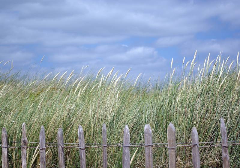 Strandurlaub Last Minute Callantsoog LekkerNaarZee